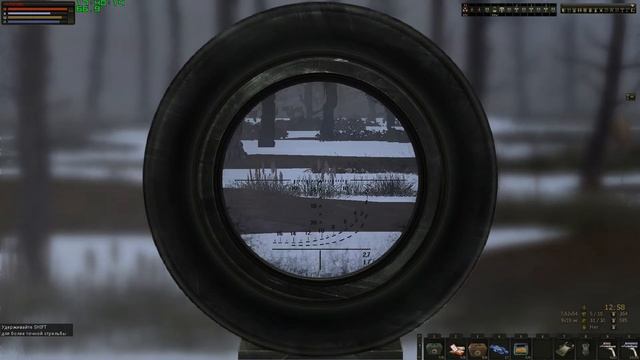 Stalker Online прогулка с веслом по каравану