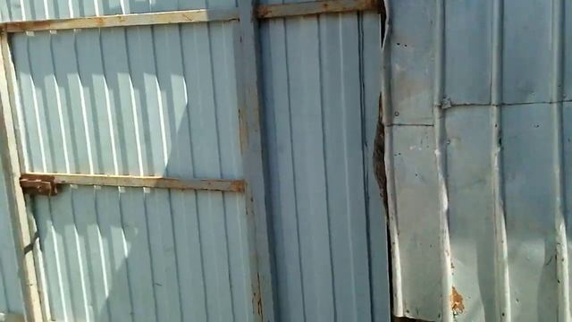 Выкинула грибы//Ношусь целый день с квочкой// смотреть онлайн