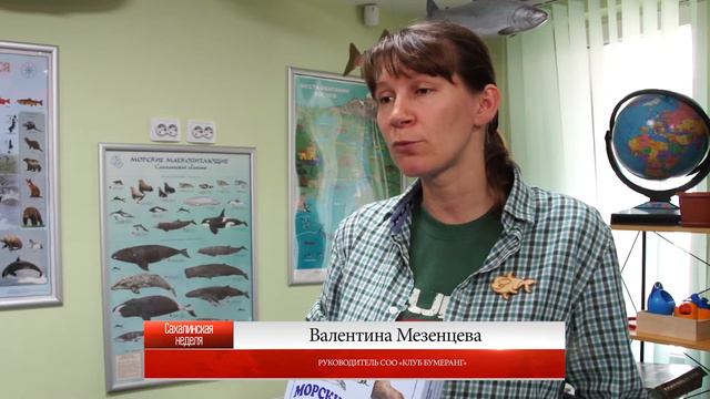 TV ролик Игра Морские друзья смотреть онлайн