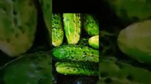 Чем полезны огурцы.Овощи.