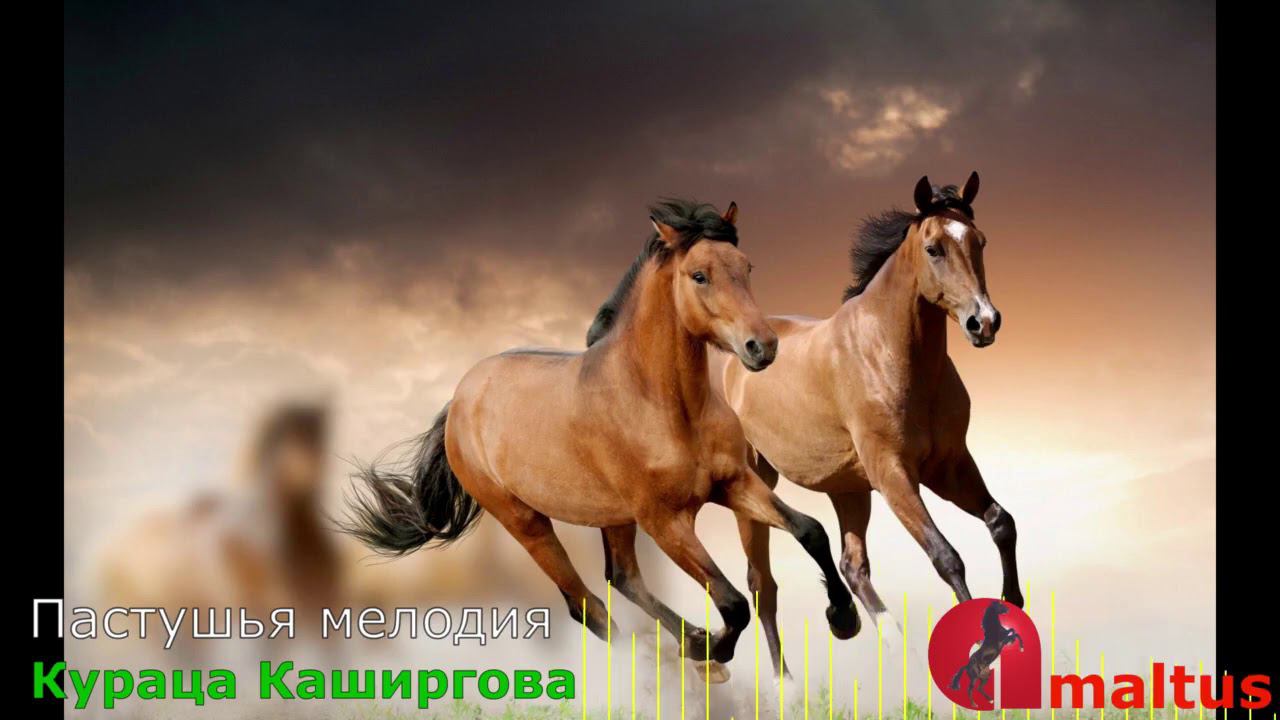 Кураца Каширгова - Пастушья мелодия смотреть онлайн
