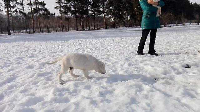 13 марта 2017 г. смотреть онлайн