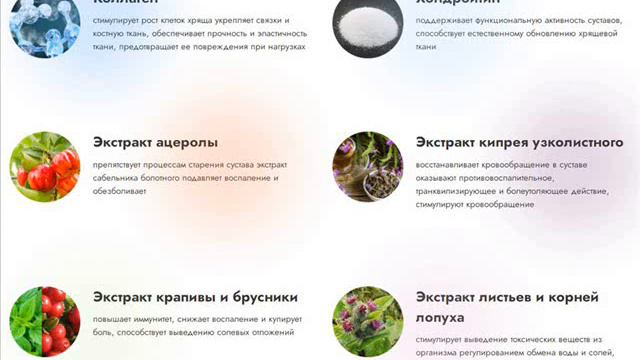 Arthron Meridian для суставов - обзор на Lady-Max.ru