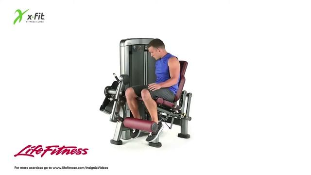 XFIT LifeFitness Разгибание голени смотреть онлайн