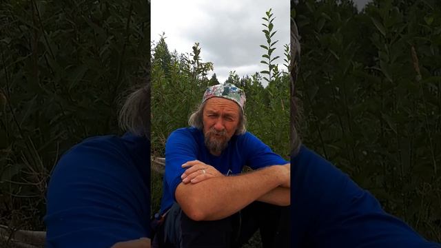 Александр Советов про ВРСП смотреть онлайн