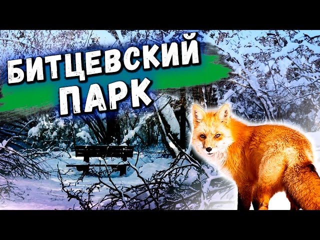 Битцевский лесопарк. История и интересные факты смотреть онлайн