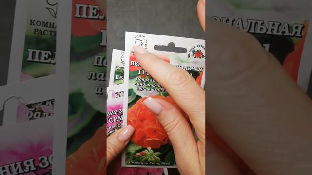 Пеларгония серии Грин #золотаясоткаалтая #semena22 смотреть онлайн