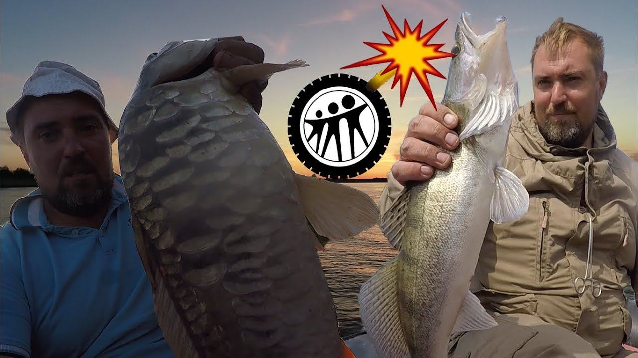 1000 поклевок Рыбалка в Астраханской области. Часть 2 смотреть онлайн