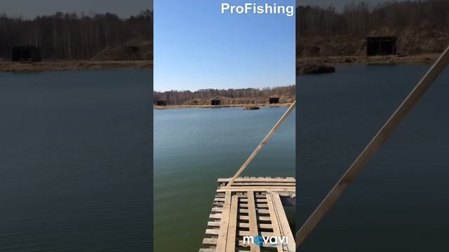 19 апреля 2019 г. Рыбалка ProFishing Аксёно-Бутырки Ногинский район. смотреть онлайн