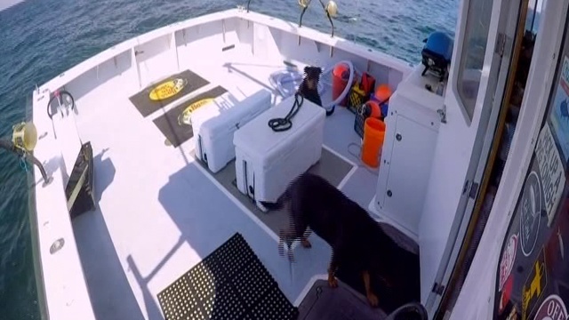 8 серия смотреть онлайн