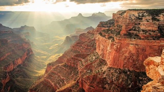 КАК ВЫГЛЯДЕЛ ОБЩИЙ ПРЕДОК КОШЕК И СОБАК?! смотреть онлайн