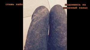 ★ Как избавиться от шерсти своего питомца с ковров, мягкой мебели и одежды. Действенные советы