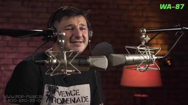 Warm Audio WA87R2 vs Warm Audio WA87 смотреть онлайн