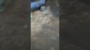 как заменить балку шкода октавия