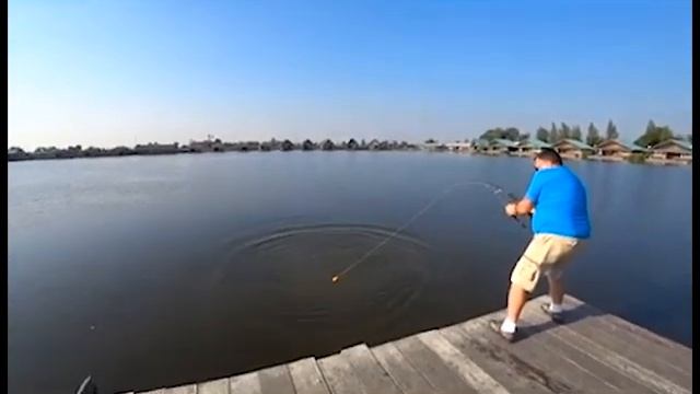 Монстры сомы. Самый большой сом в мире, из книги рекордов. И не большой позитив!