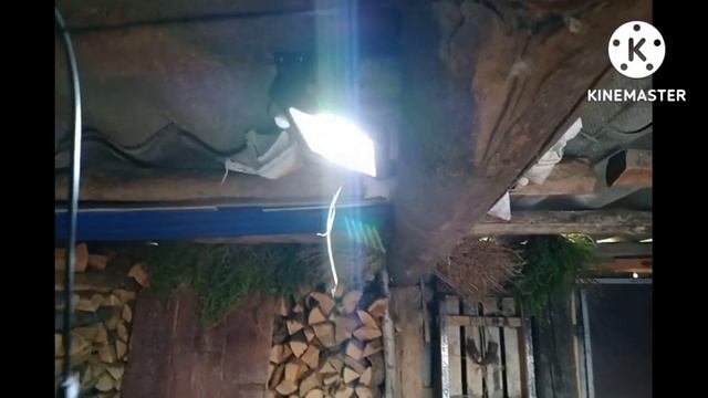 Светильник на солнечной батарее с датчиком движения с Wildberries смотреть онлайн