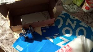 Заказ от Валдберис/Покупки и прогулка/Выборы