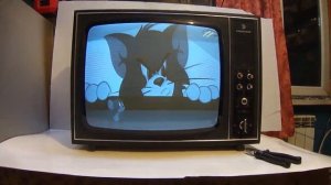 Телевизор "Рекорд В-312"