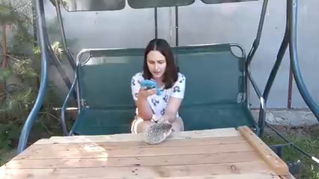 Живодёрка! ...................Вопрос-Ответ) смотреть онлайн