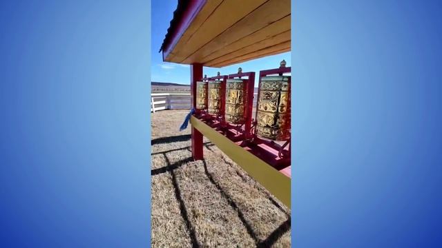 Цыренжапов Зорикто, 6а кл  СОСОШ №1