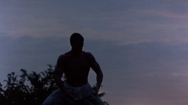 Ван Дамм - Кикбоксёр #jeanclaudevandamme #жанклодвандамм #kickboxer #кикбоксинг смотреть онлайн