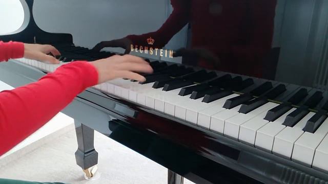 Erotik Op.43, Nr.5, E. Grieg#piano #klavier #nofilter #romanticmusic #bechstein #valentinesday смотреть онлайн