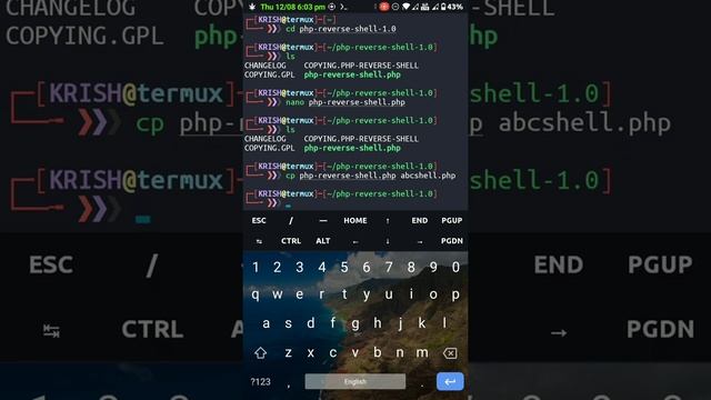 how to use Netcat with PHP reverse shell in Termux | access webservers without any authentication | смотреть онлайн