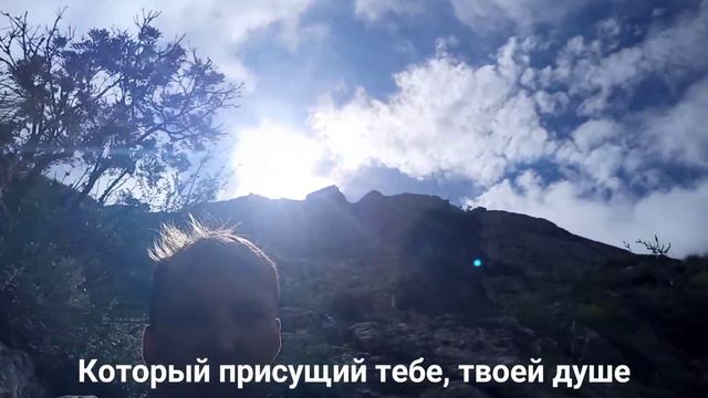 Слушай свое сердце | Выбор | Сердечный компас | смотреть онлайн