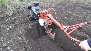 Мотоблок фаворит с ДИЗЕЛЬНЫМ двигателем! Культивация 2020!