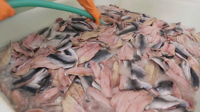 Подсмотрено на производстве. Сельдь смотреть онлайн