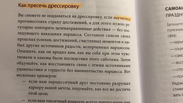 Как противостоять дрессировке нарцисса. Токсичные люди. Шахида Араби. смотреть онлайн