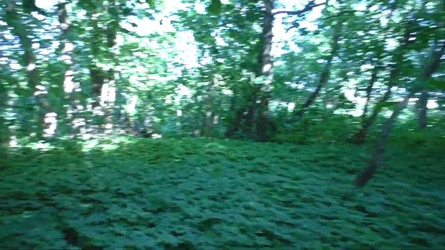 Павильон водоподъёмной машины. И что такое Туруру? смотреть онлайн