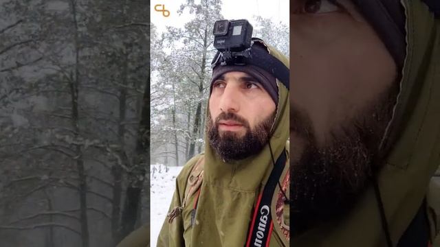 Wildlife photography in Azerbaijan / Astara #azerbaijan #astara #wildlifephotography смотреть онлайн