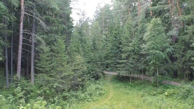 Это мы за грибами ходили))) смотреть онлайн