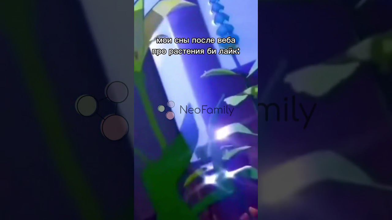 пов: мои сны #биология #егэбиология #егэ #егэ2024 #сны #tiktok #youtubeshorts смотреть онлайн
