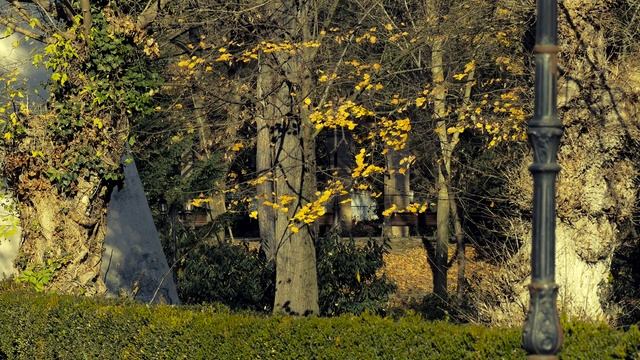 PANASONIC DMC FZ 300 TOMNA 2021 IN DEVA смотреть онлайн