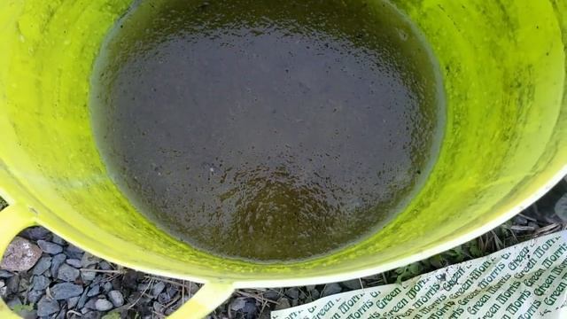 Новые идеи для сада. Цветы в горшках. Опять Мотя! смотреть онлайн