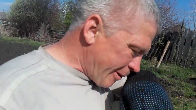 Укладываю ламинат// Подготовка огорода к посадке картошки//жизнь в деревне смотреть онлайн