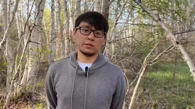 Орбиталь – незаменимый помощник для поиска задач