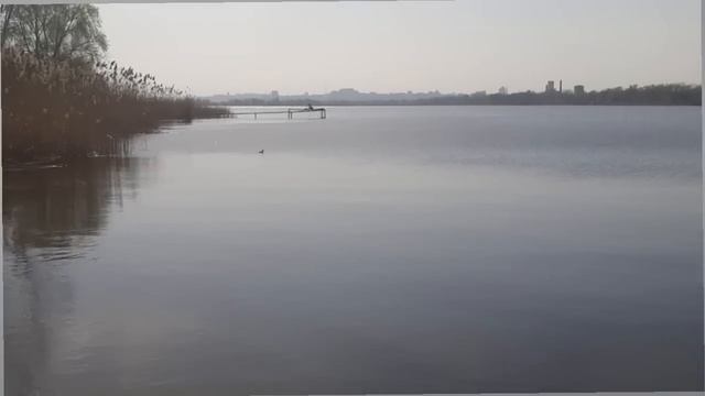 #Нателла Дома вышла на берег /Лодочную брата затопило/Вот точно не знаешь что будет через 5 минут смотреть онлайн