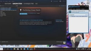 Гайд настройки coop The Binding of Isaac - Rebirth