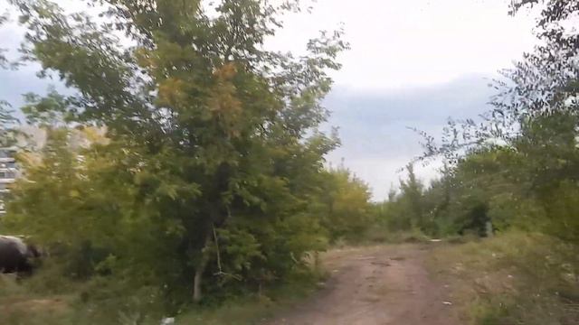 Майкудук летом | Завяз на Сахалине в чаще смотреть онлайн