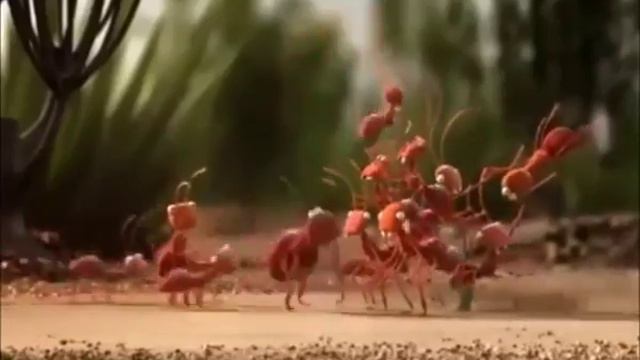 Не важно сколько друзей главное что они есть)👍 смотреть онлайн