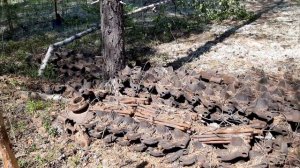 Каракат/Болотоход/За металлоломом/Нашли схрон металла