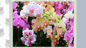 Поздравление начальнице с днем рождения