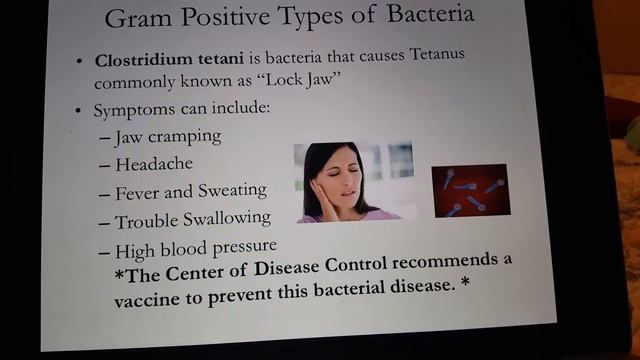 Microbiology 150 presentation on bacteria classification смотреть онлайн