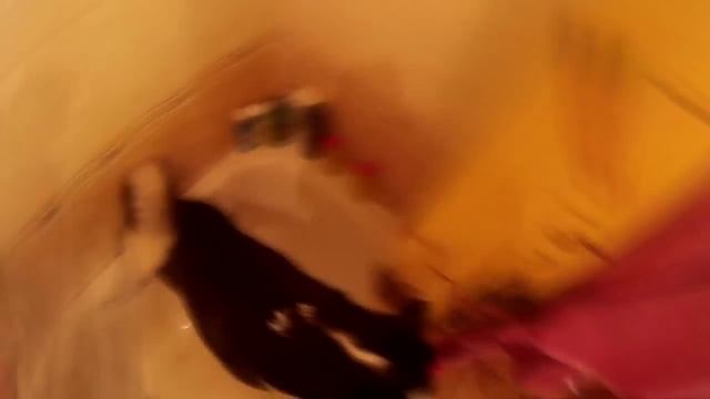 Husky (Uki Sever & Kai) wash the paws Хаски моют лапы смотреть онлайн