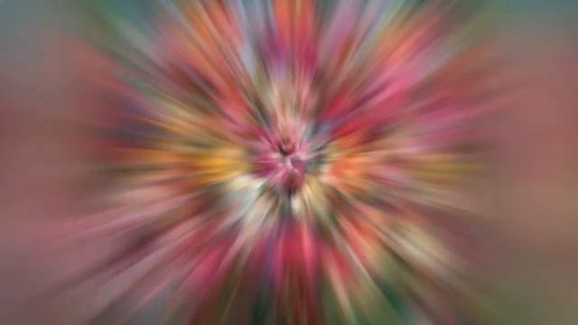 ИКСИЯ (IXIA) сем. Касатиковые смотреть онлайн