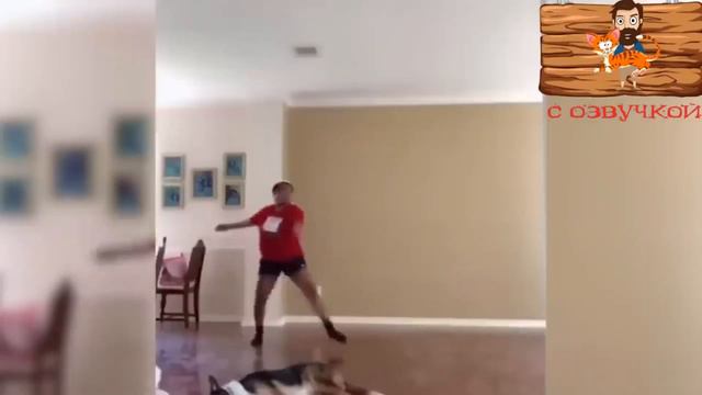 Смешные животные подборка с озвучкой 😹