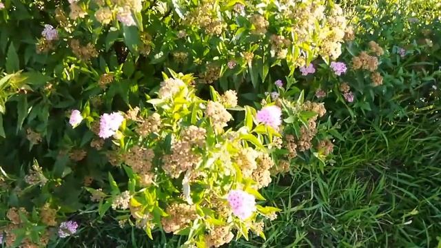 Влог наконец то дома, почему ушла с работы на роза хутор смотреть онлайн